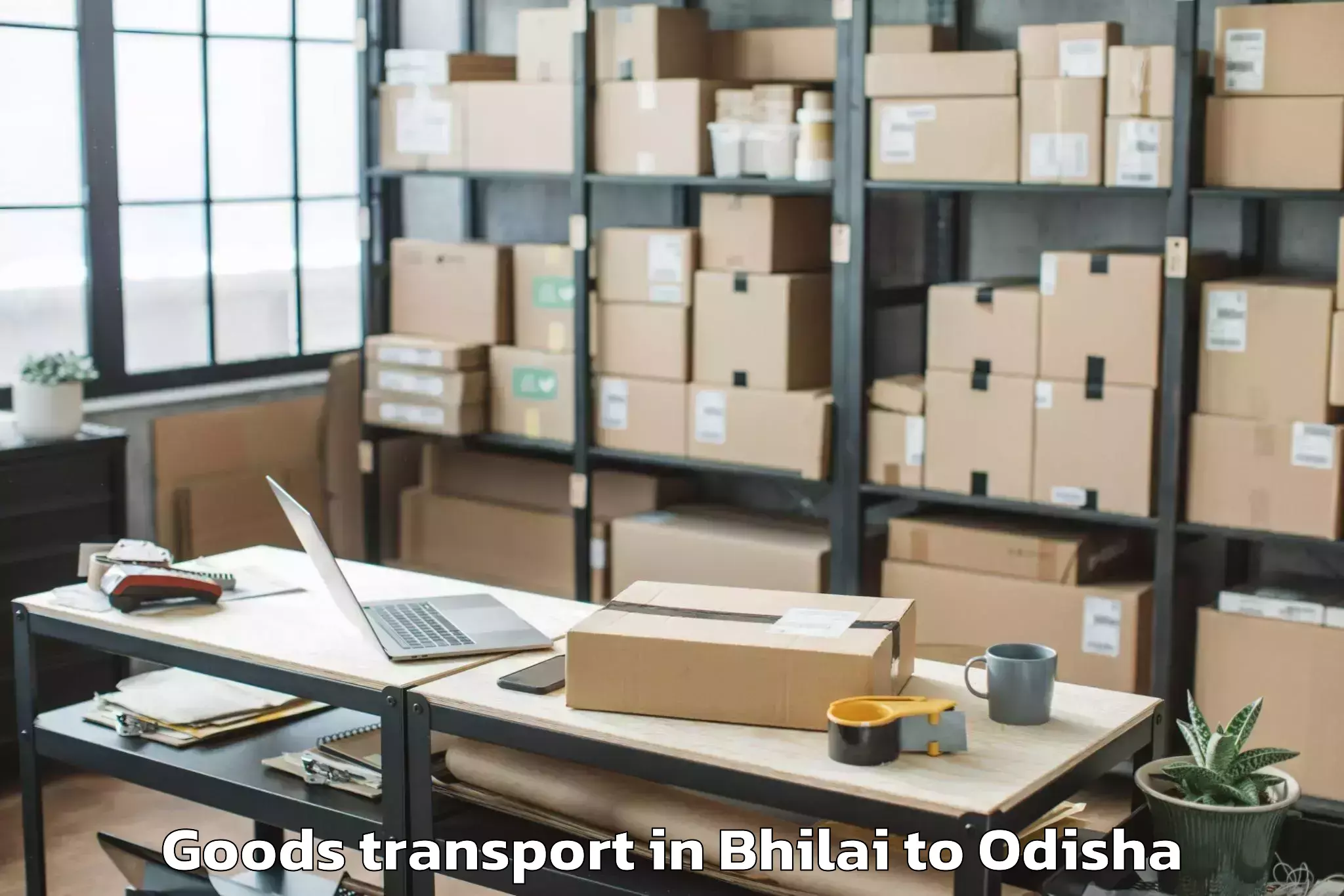 Book Your Bhilai to Bhandari Pokhari Goods Transport Today